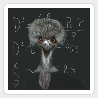 Funny Emu | Einstein | Humorous Gift Magnet